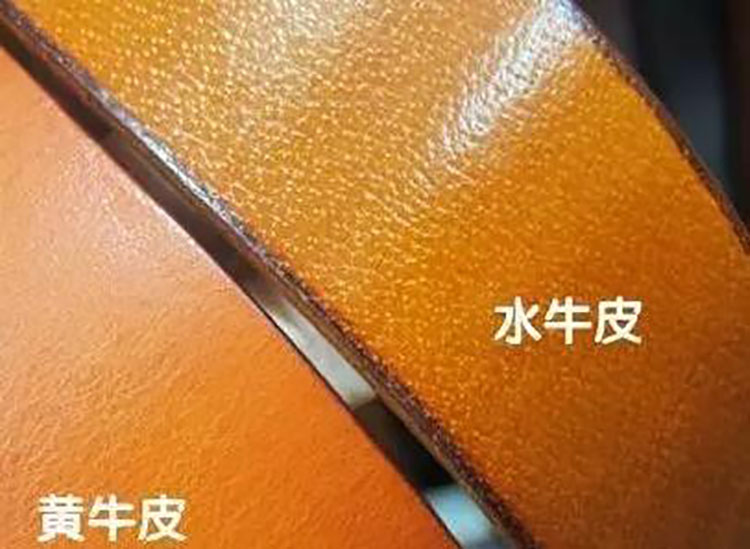 洗衣百科:黄牛皮的分类和水牛皮的区别